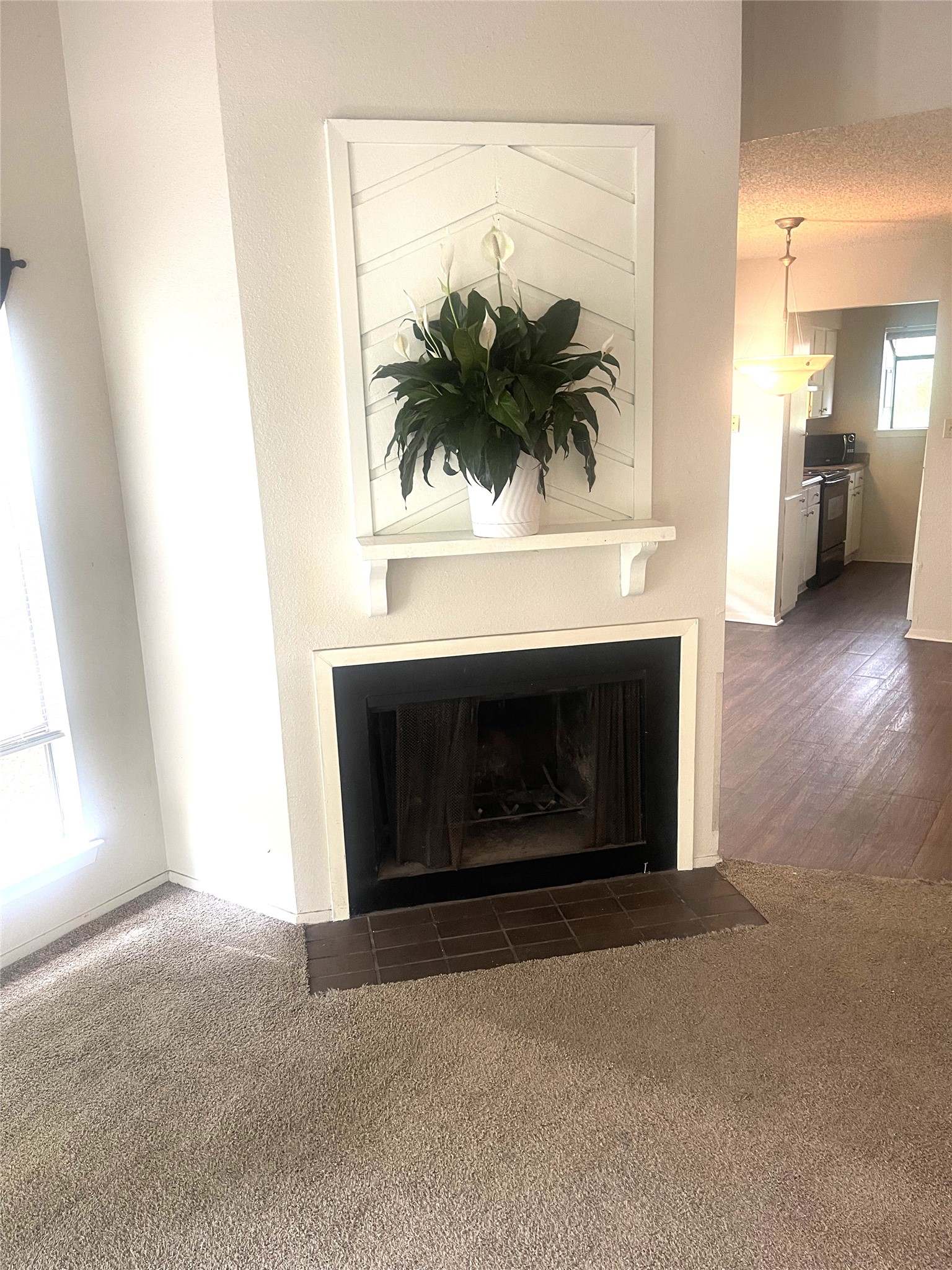2005 West Loop, Unit D2 Austin, TX 78758 - Photo 30 of 31 a living room with a fireplace and a potted plant