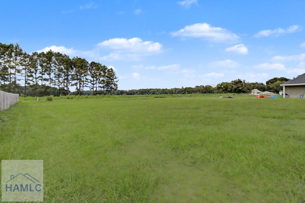 5877 Rye Patch Road Ludowici, GA 31316 - Photo 25 of 26 Gallery Image 25