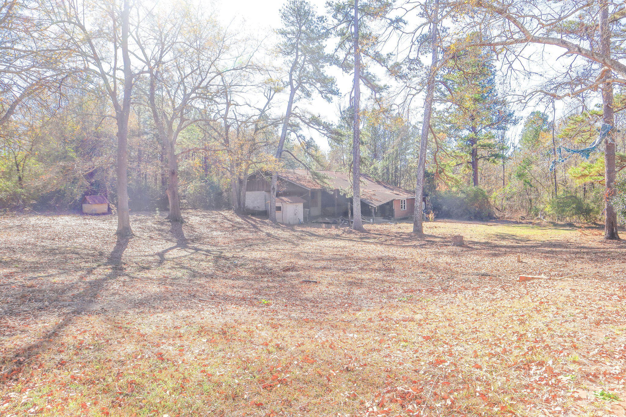0 Keysville Road Hephzibah, GA 30815 - Photo 35 of 40 34-web-or-mls-Image 14