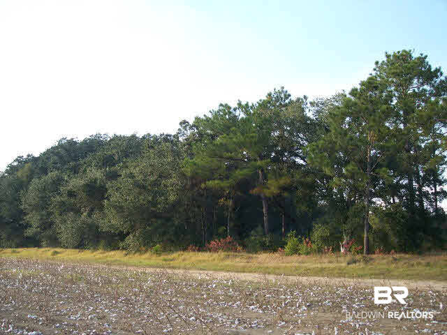 0 Foots Road Grand Bay, AL 36541 - Photo 1 of 1
