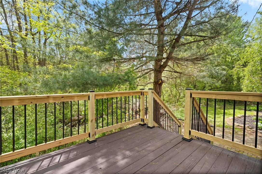 2203 South Medina Line Road Wadsworth, OH 44281 - Photo 42 of 50