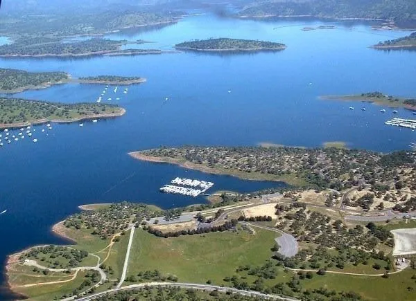 a view of a lake with a yard and large trees