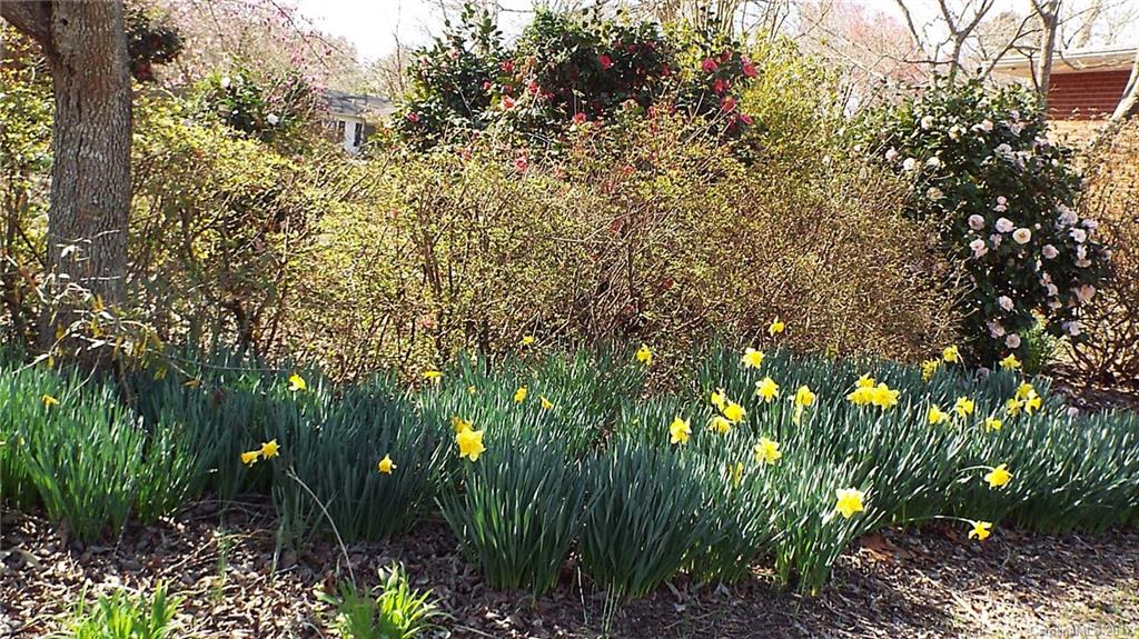107 Freeman Road Troy, NC 27371 - Photo 19 of 20 Gallery Image 19