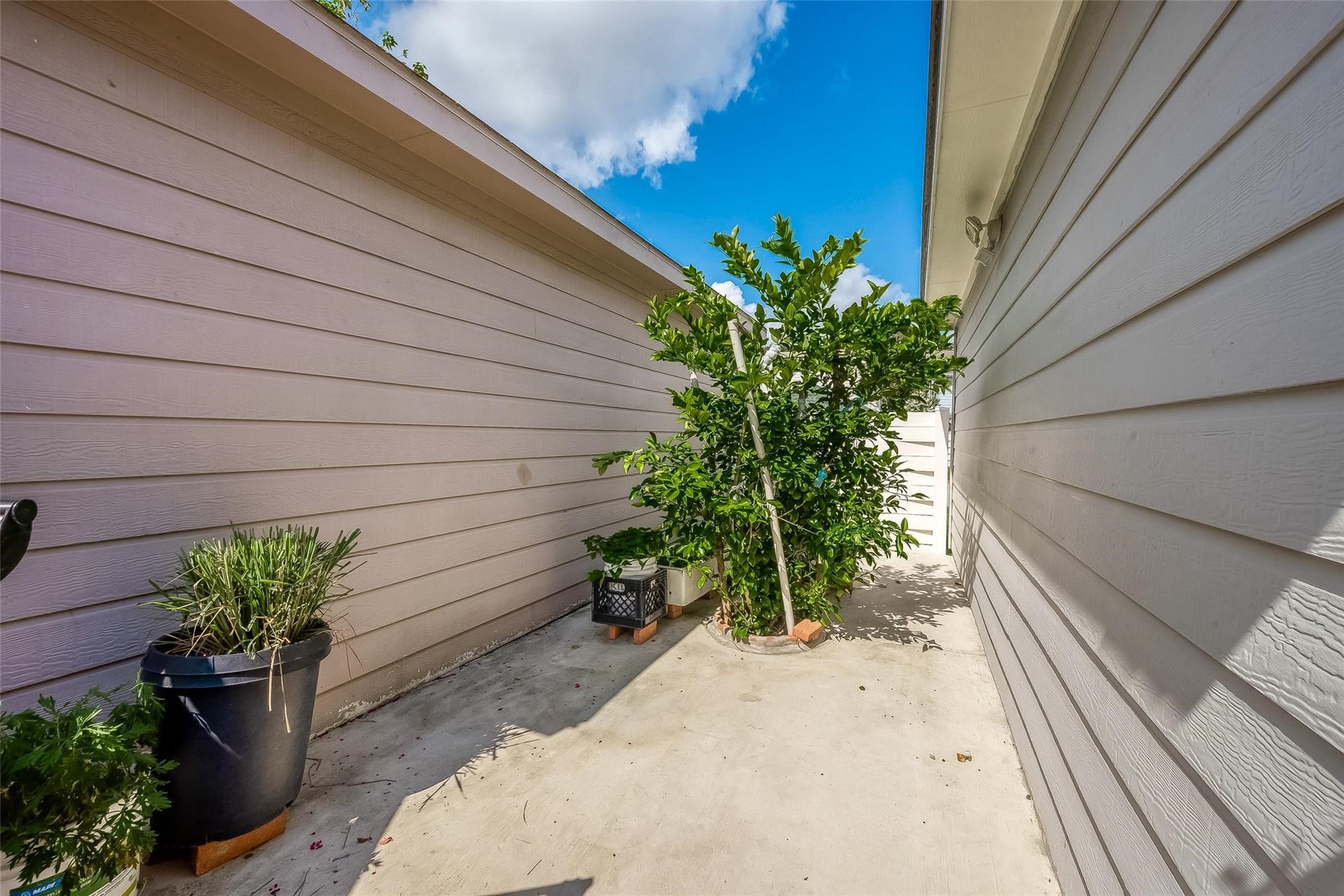 9511 Farrell Drive Houston, TX 77070 - Photo 25 of 28 a potted plant sitting in front of a window
