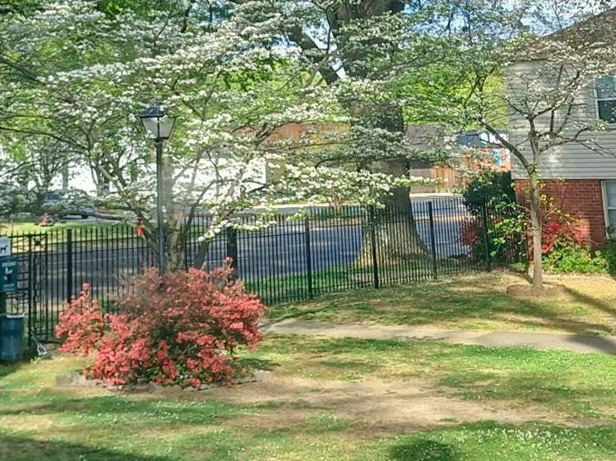 2991 Walnut Grove Road, Unit 2 Memphis, TN 38111 - Photo 2 of 8 Gallery Image 2