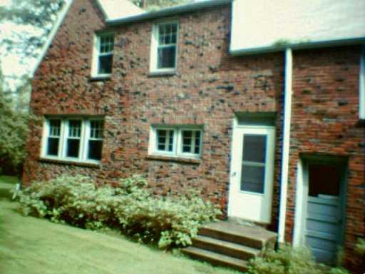 4629 Curry Road Whitehall, PA 15236 - Photo 2 of 6 Yard/Garden.