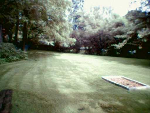 4629 Curry Road Whitehall, PA 15236 - Photo 6 of 6 Yard/Garden.