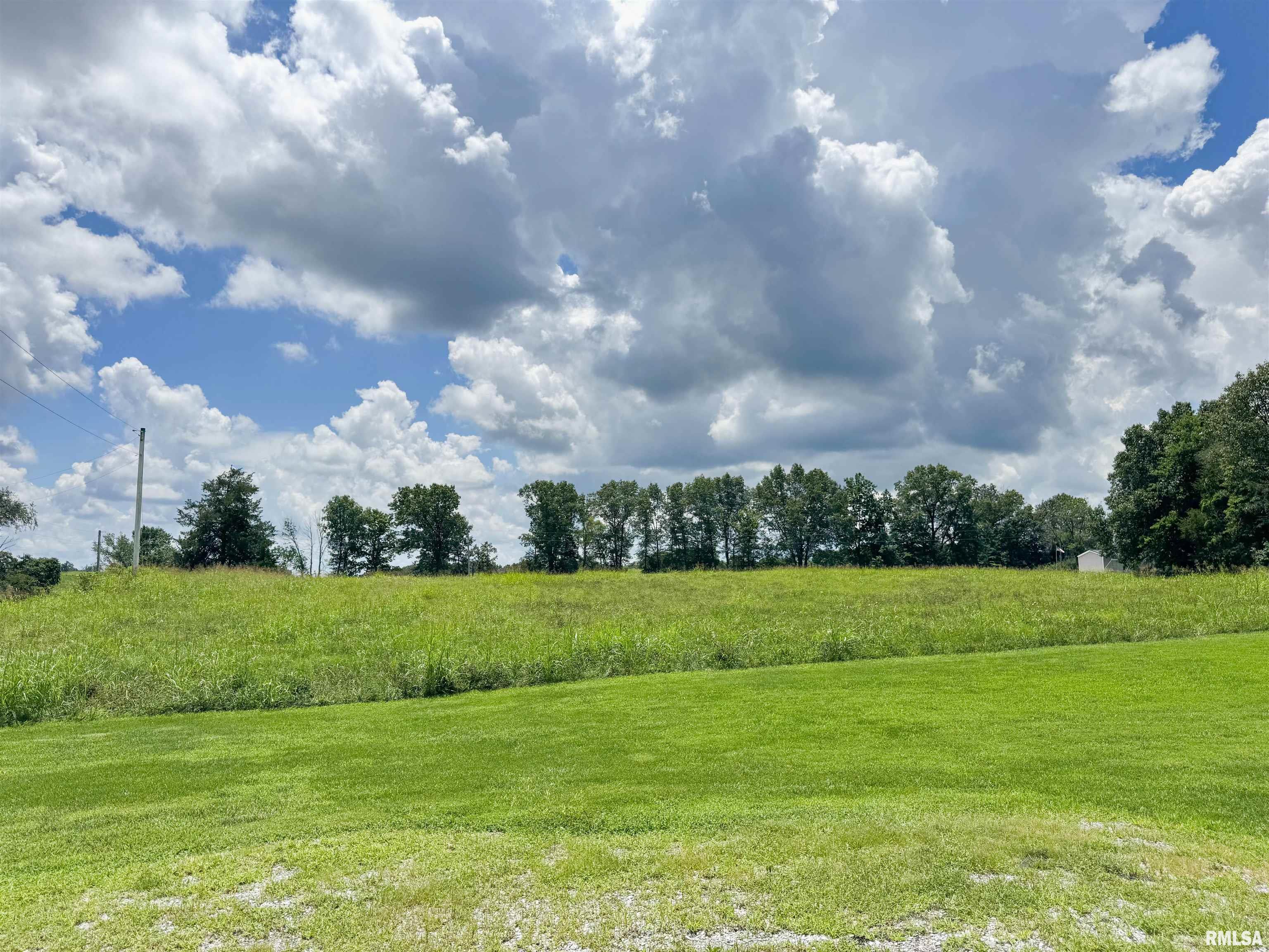 1045 Gurley Loop Buncombe, IL 62912 - Photo 13 of 28