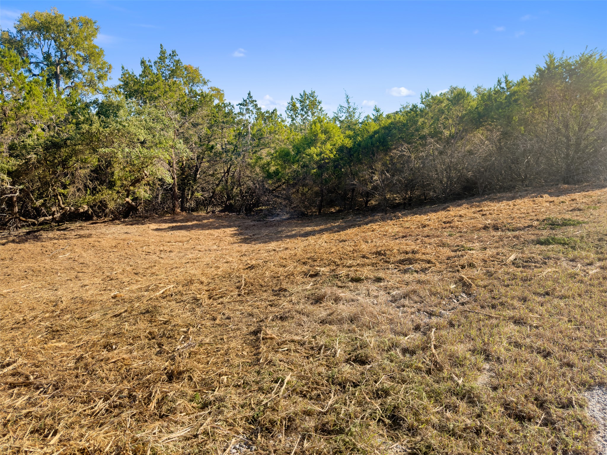 817 Rutherford Fischer, TX 78623 - Photo 14 of 22 A tranquil clearing unfolds, framed by a natural border of lush, mature trees under a clear sky.
