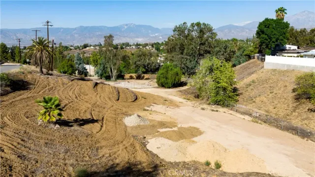 a view of a yard with a tree