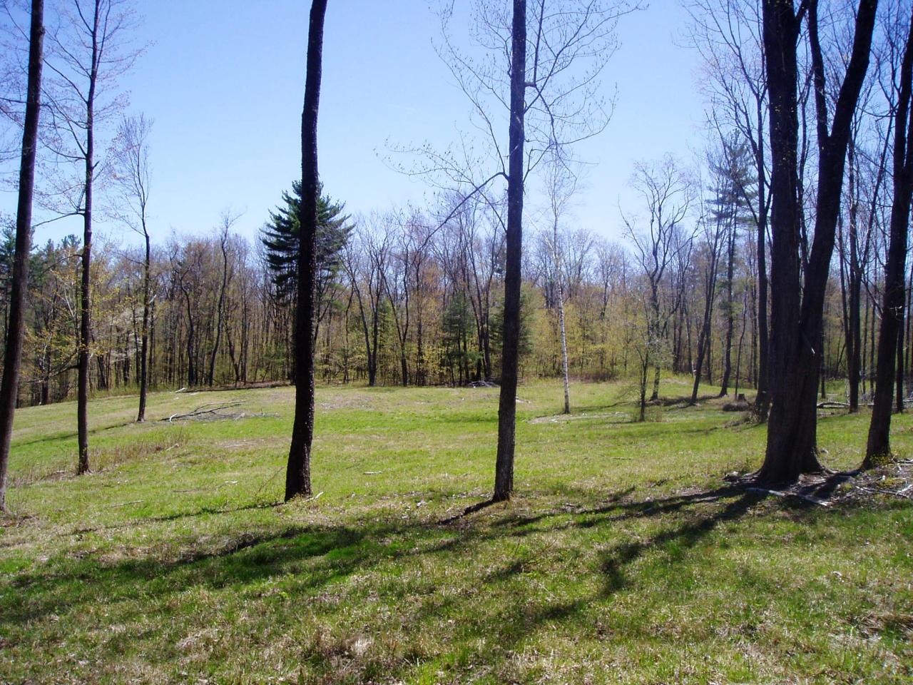 55 Millard Road Egremont, MA 01230 - Photo 3 of 7 INTERIOR FIELD