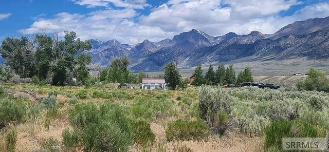 $101,000 | 4514 Cottonwood Grove Road, Mackay, ID 83251