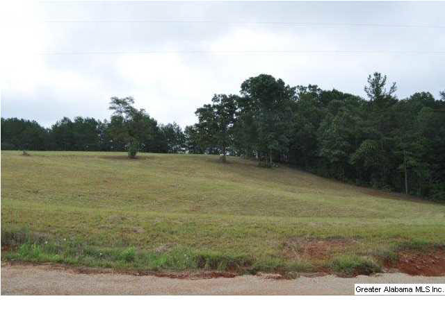 8245 County Road 92 Heflin, AL 36264 - Photo 12 of 25