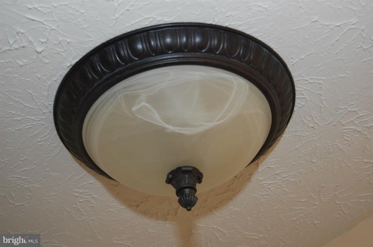 70 Gwynnswood Road Owings Mills, MD 21117 - Photo 13 of 30 Light Fixtures