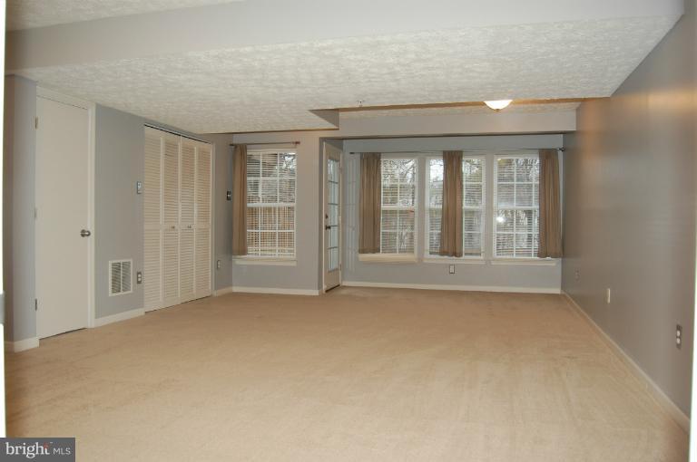 70 Gwynnswood Road Owings Mills, MD 21117 - Photo 18 of 30 Finished Lower Level