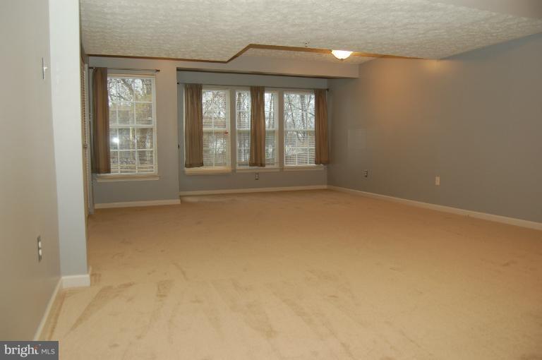 70 Gwynnswood Road Owings Mills, MD 21117 - Photo 24 of 30 Finished Lower Level