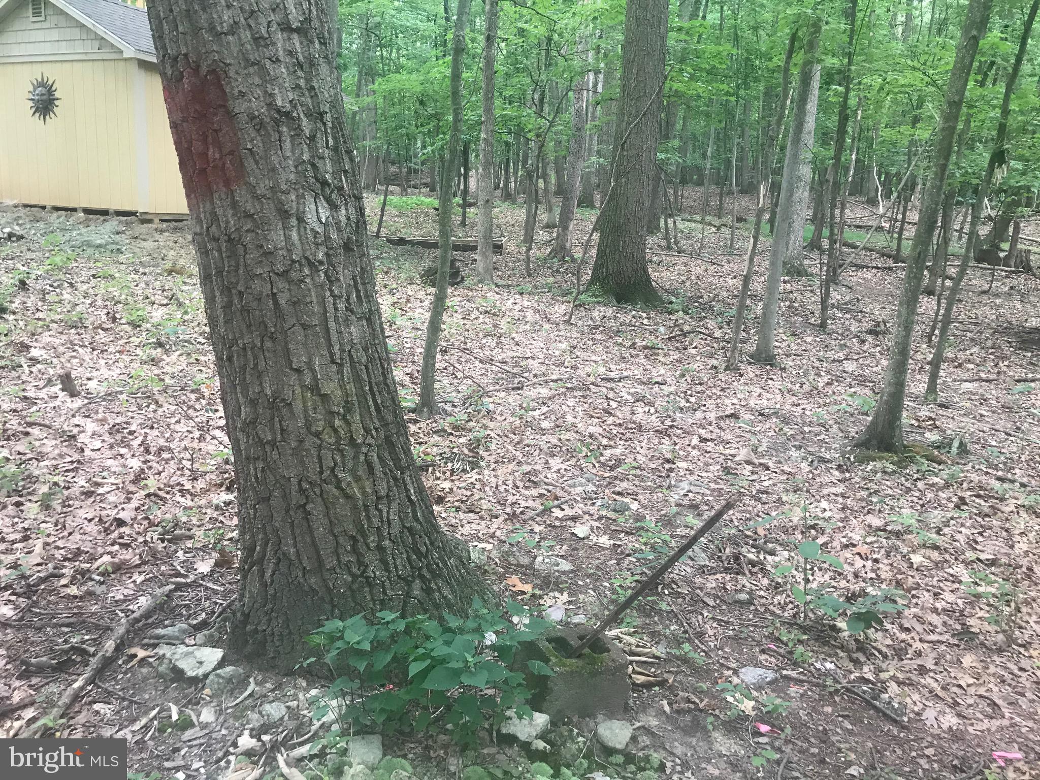 Ridge Road Shippensburg, PA 17257 - Photo 2 of 6