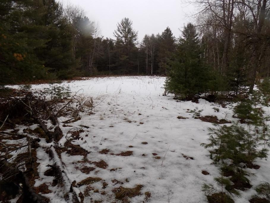 9651 3 Road Copemish, MI 49625 - Photo 26 of 48 DSCN1714
