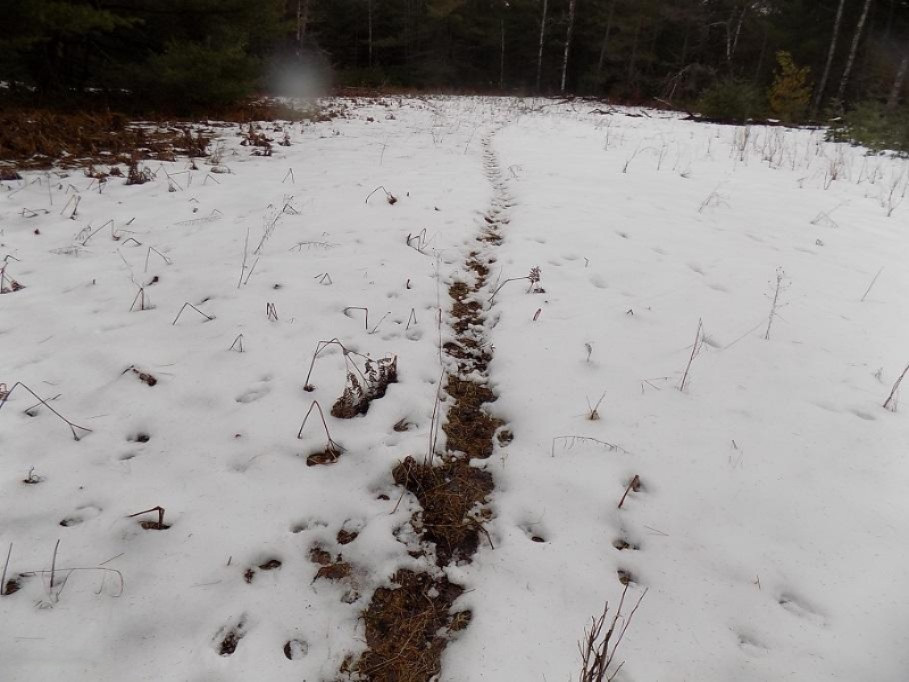 9651 3 Road Copemish, MI 49625 - Photo 27 of 48 DSCN1715