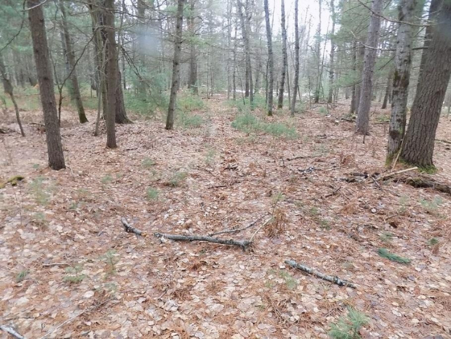 9651 3 Road Copemish, MI 49625 - Photo 29 of 48 DSCN1717