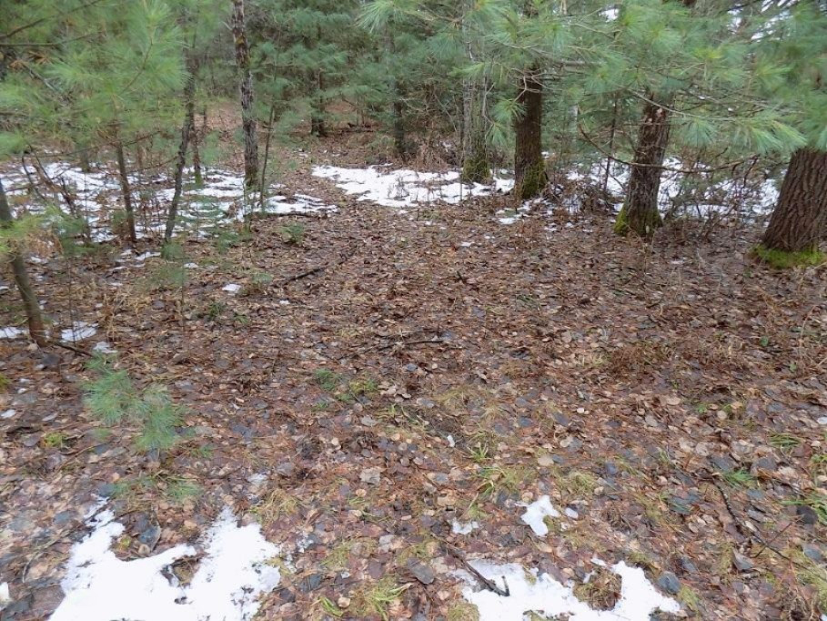 9651 3 Road Copemish, MI 49625 - Photo 33 of 48 DSCN1724