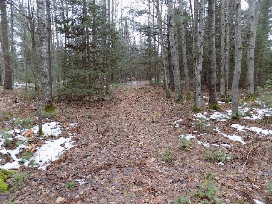 9651 3 Road Copemish, MI 49625 - Photo 34 of 48 DSCN1725
