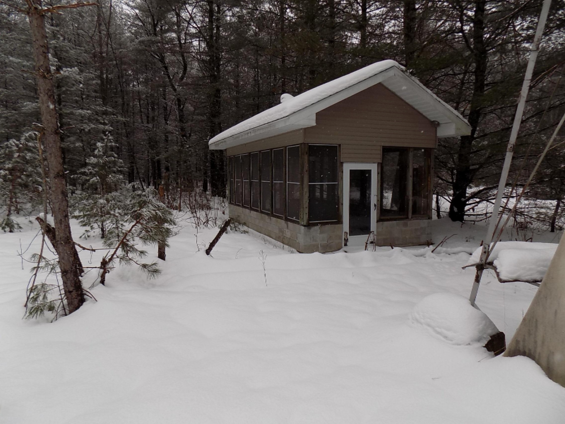 9651 3 Road Copemish, MI 49625 - Photo 5 of 48 DSCN1758