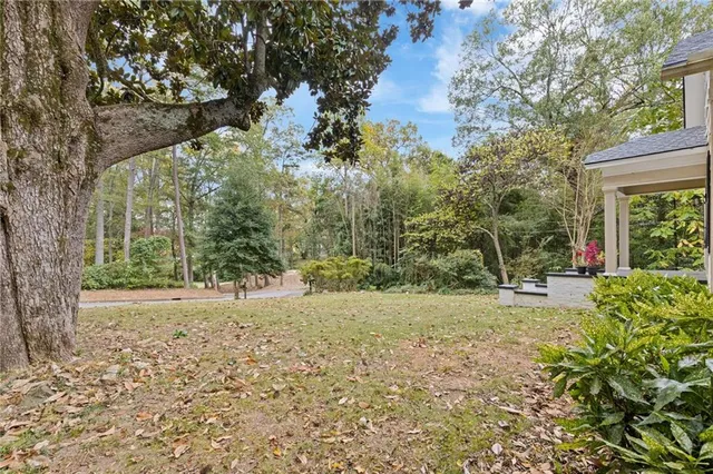 a view of a yard with plants and trees