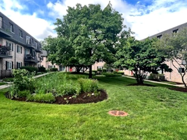 920 South Plum Grove Road, Unit 225 Palatine, IL 60067 - Photo 2 of 15 a backyard of a house with lots of green space