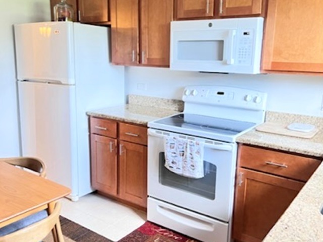 920 South Plum Grove Road, Unit 225 Palatine, IL 60067 - Photo 5 of 15 a white refrigerator freezer sitting inside of a kitchen
