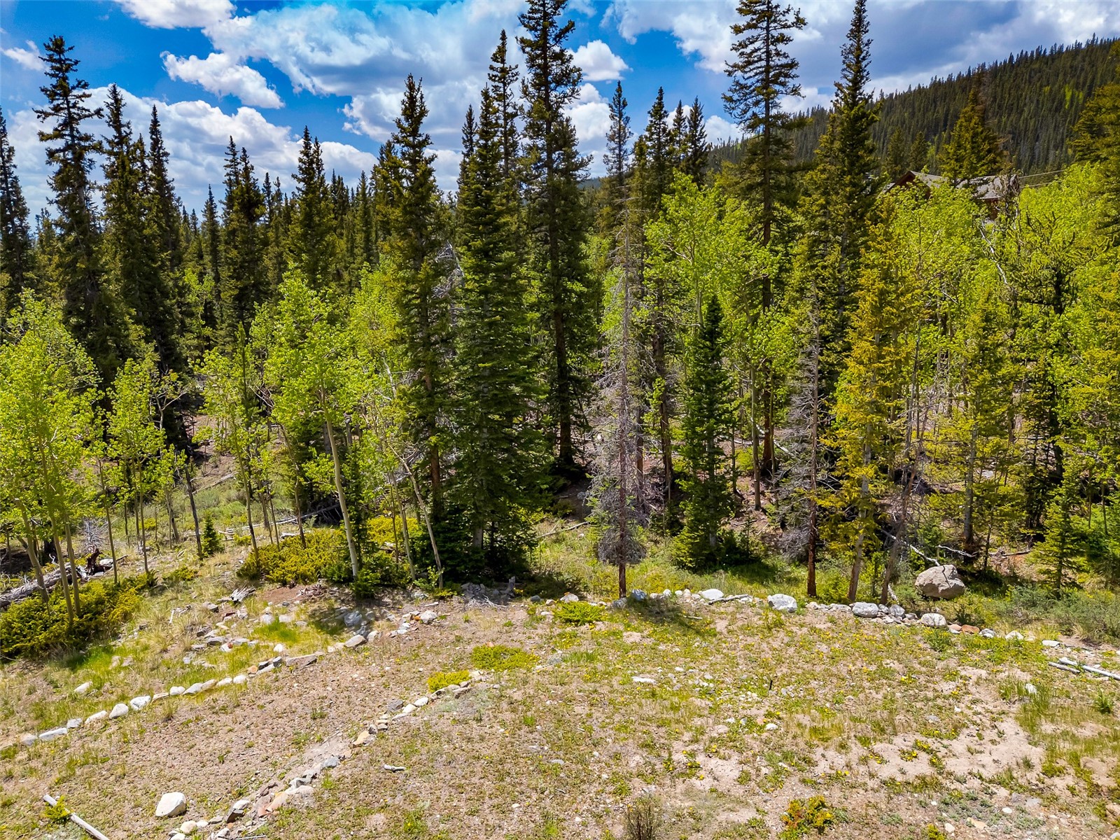 522 Quartzville Road Alma, CO 80420 - Photo 11 of 46