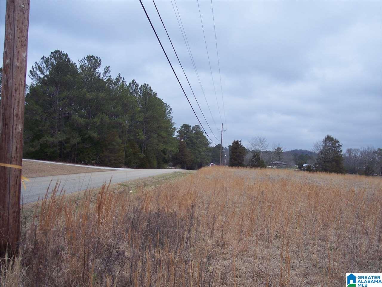 0 Big Oak Road Ohatchee, AL 36271 - Photo 5 of 7