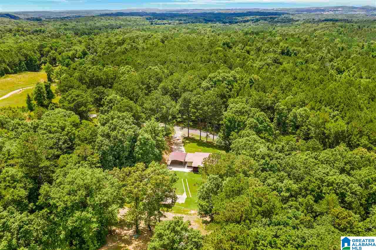 700 Deaver Walker Road Trafford, AL 35172 - Photo 24 of 32 Gallery Image 24