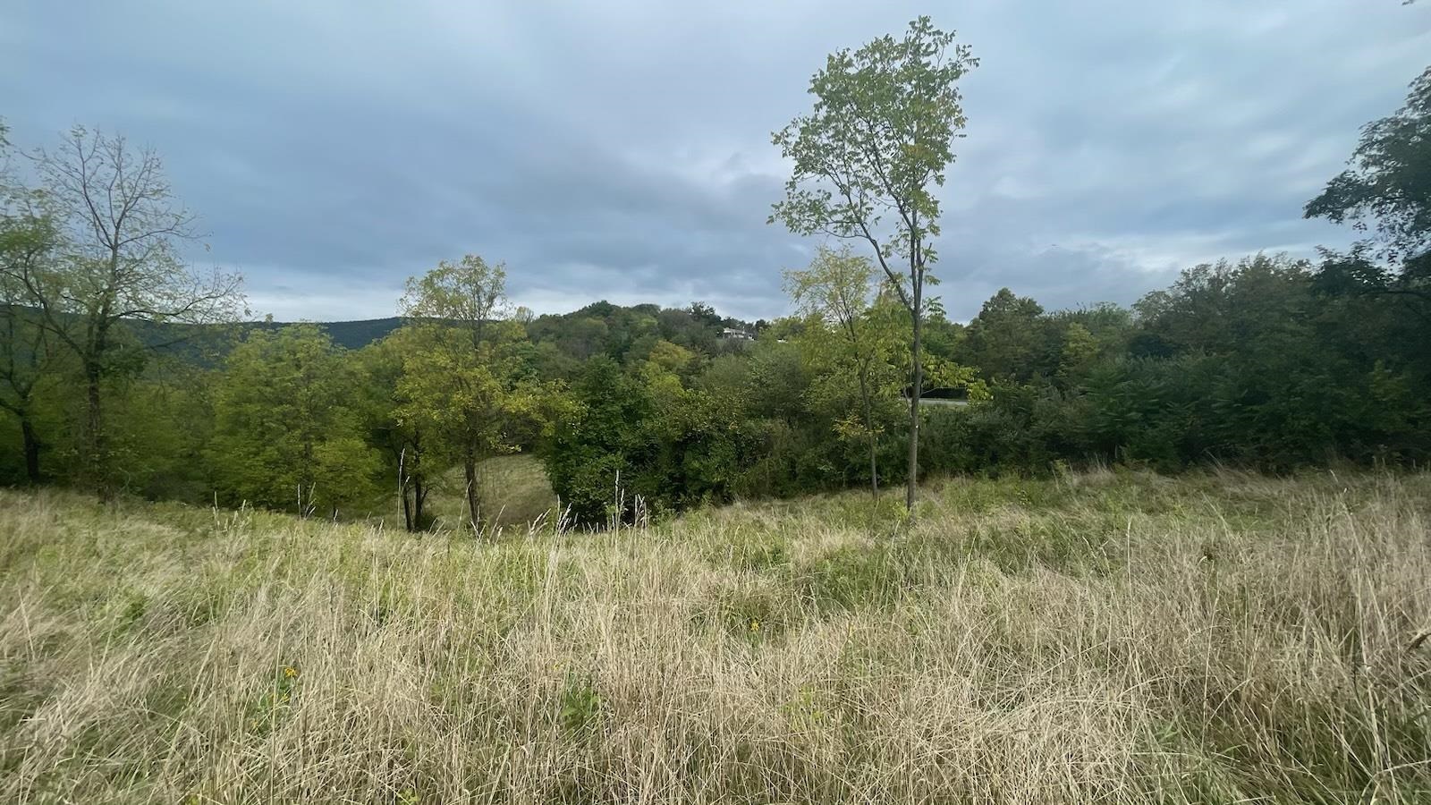 B1 Woodside Drive Rileyville, VA 22650 - Photo 3 of 6 a view of a yard