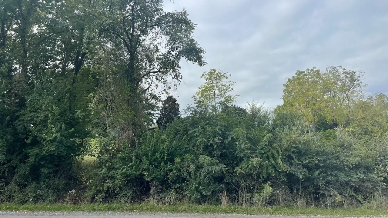 B1 Woodside Drive Rileyville, VA 22650 - Photo 4 of 6 a view of a city with lush green forest