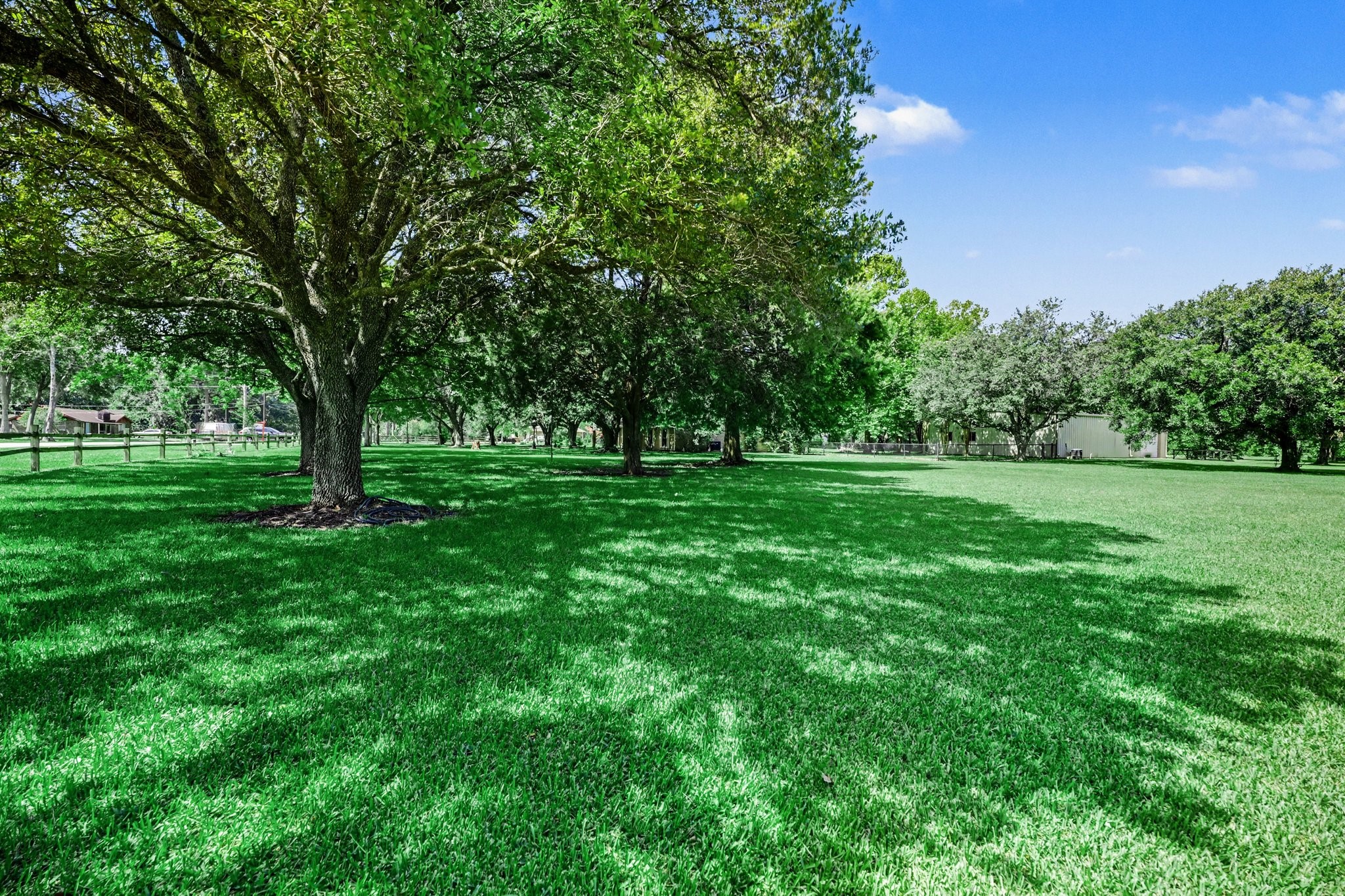 3320 Tower Road Santa Fe, TX 77517 - Photo 39 of 44 Beauitful Trees Thru out the 3 Plus acreas