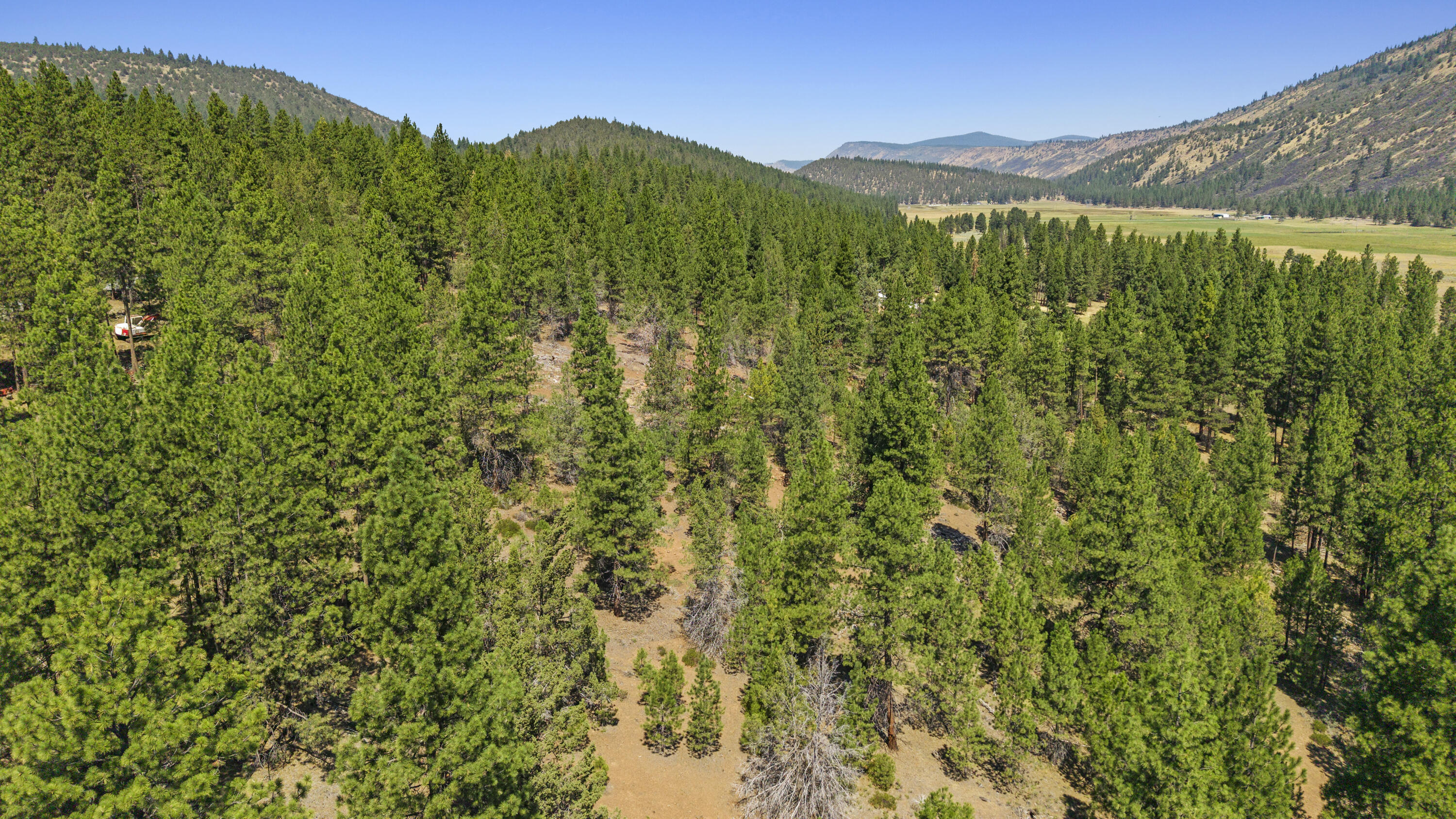 0 Simpson Canyon Road, Unit 15 Klamath Falls, OR 97601 - Photo 36 of 37 a view of a lush green field with a mountain in the background