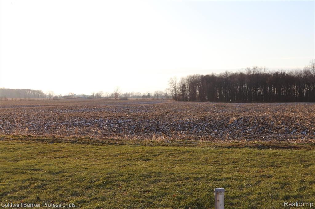 12620 South Reed Road Byron, MI 48418 - Photo 20 of 20