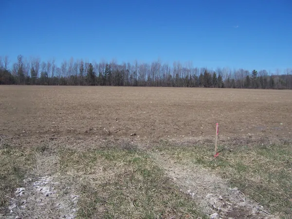 $49,000 | Lot 4 Beard Road, Avoca, MI 48006