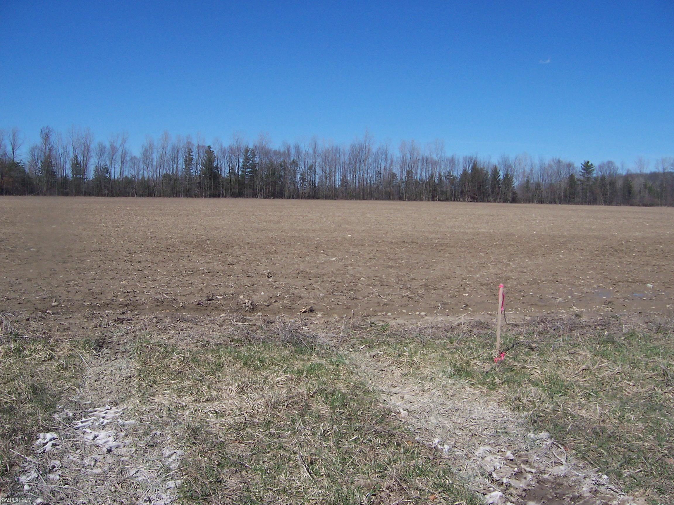 Lot 4 Beard Road Avoca, MI 48006 - Photo 1 of 2