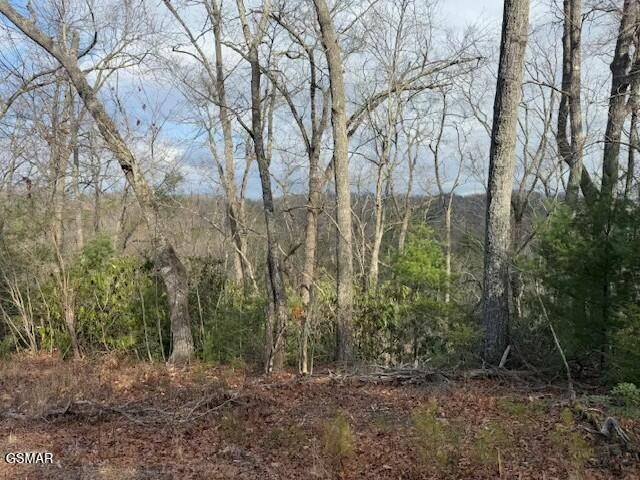 973 Ridgefield Drive Sevierville, TN 37876 - Photo 1 of 13 Gallery Image 1