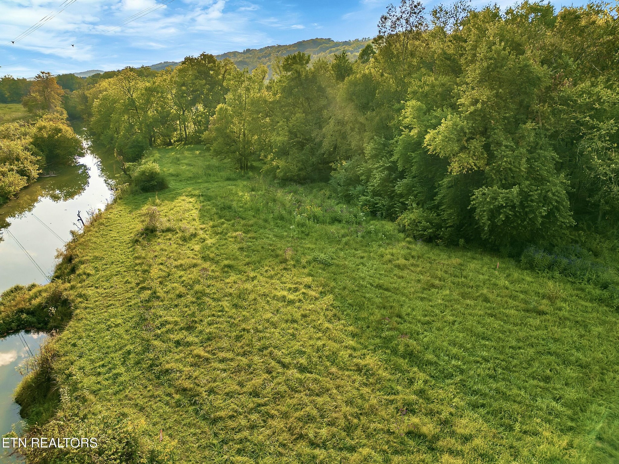 864 Bullrun Valley Drive Heiskell, TN 37754 - Photo 6 of 12 a view of a yard