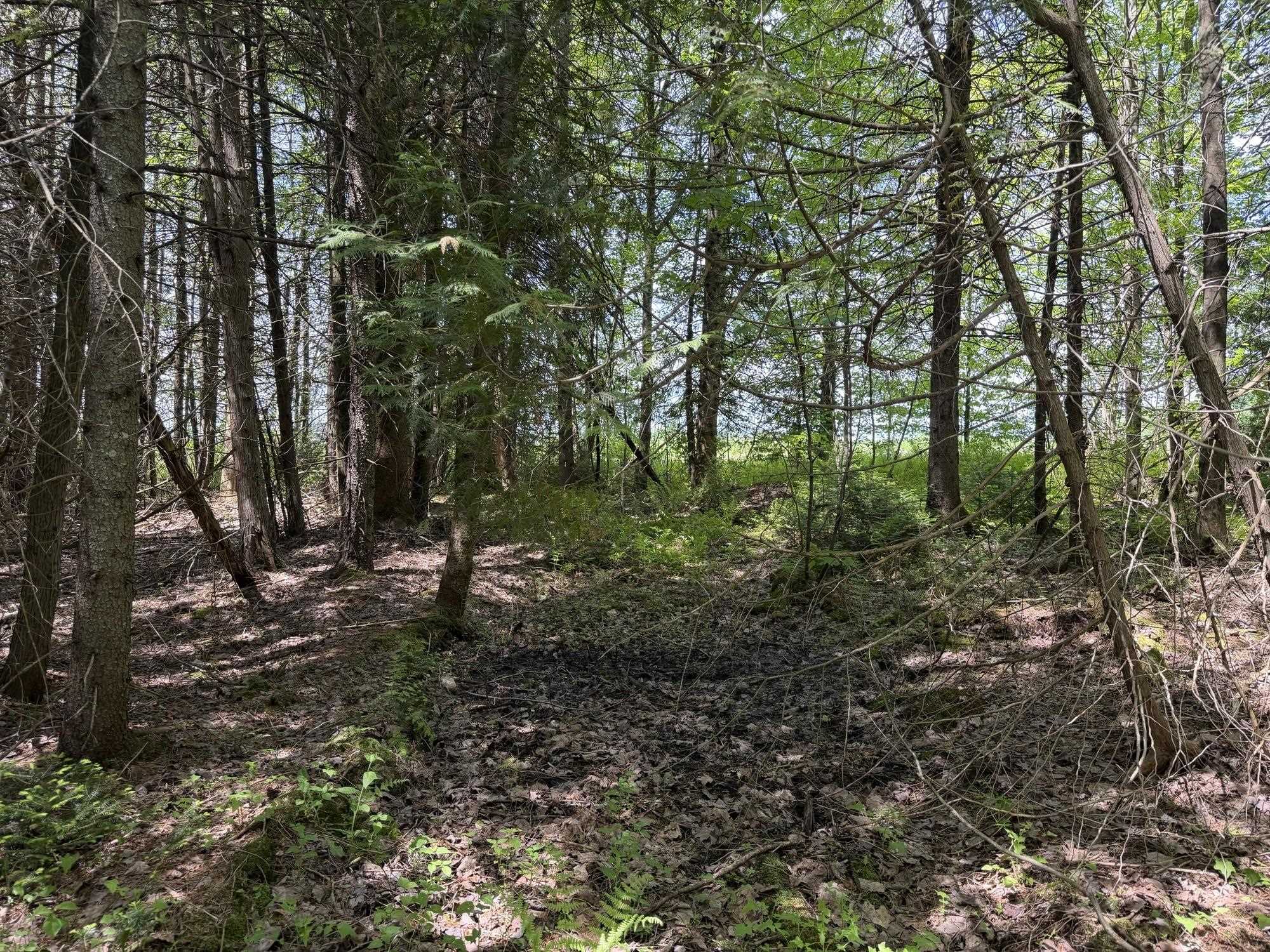 2278 Valley Road Holland, VT 05830 - Photo 4 of 17
