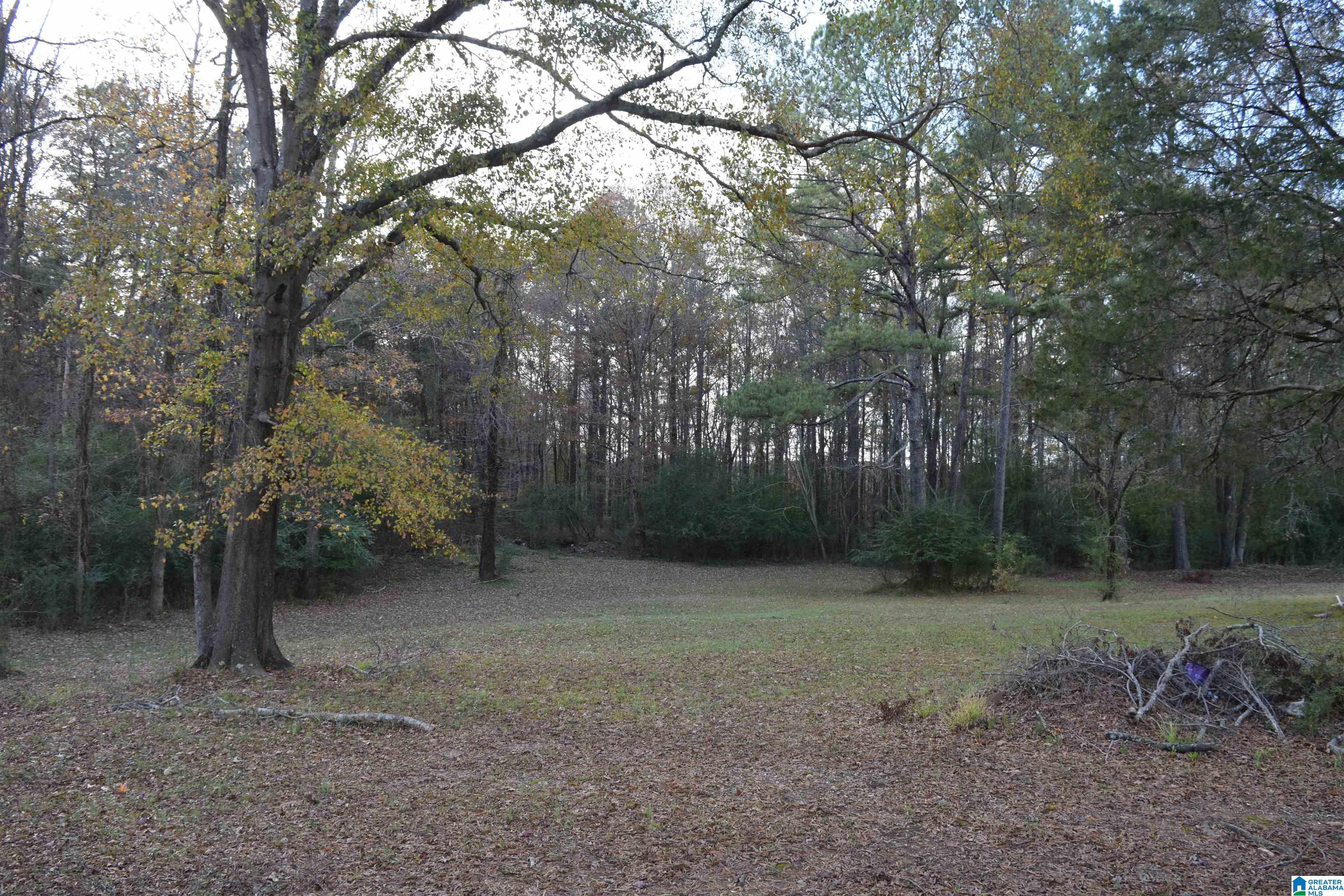 13930 B T Short Cutoff Road Vance, AL 35490 - Photo 32 of 34