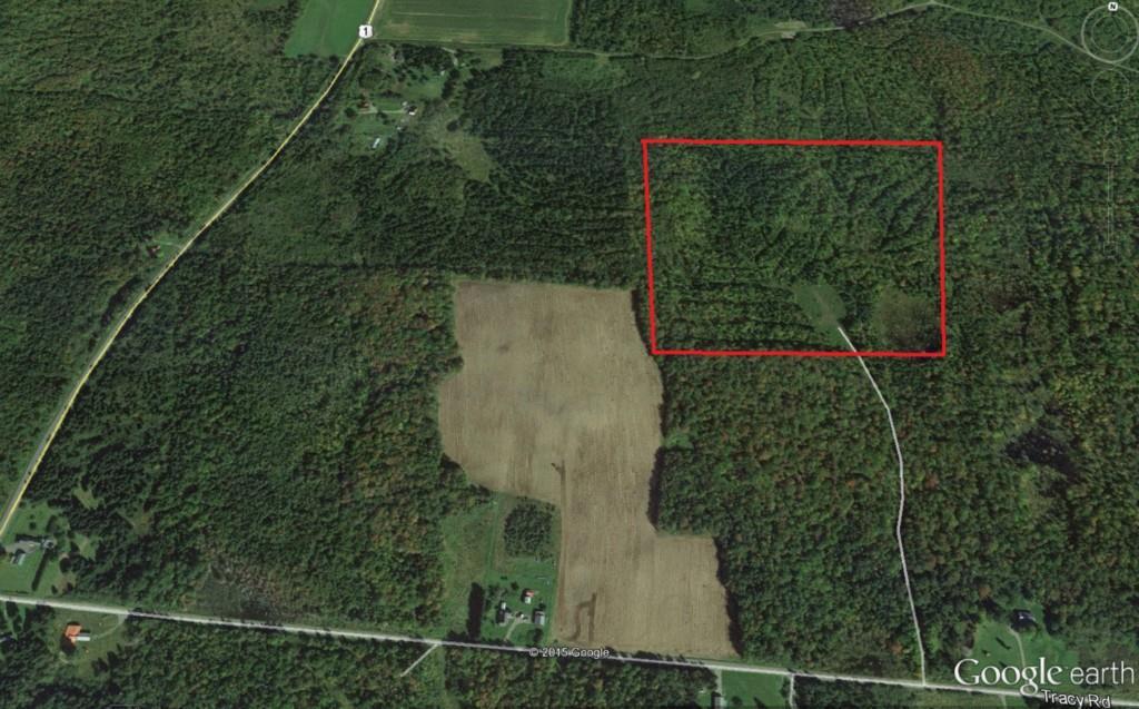 Lot 17 Tracy Road Amity, ME 04471 - Photo 1 of 8 Photo