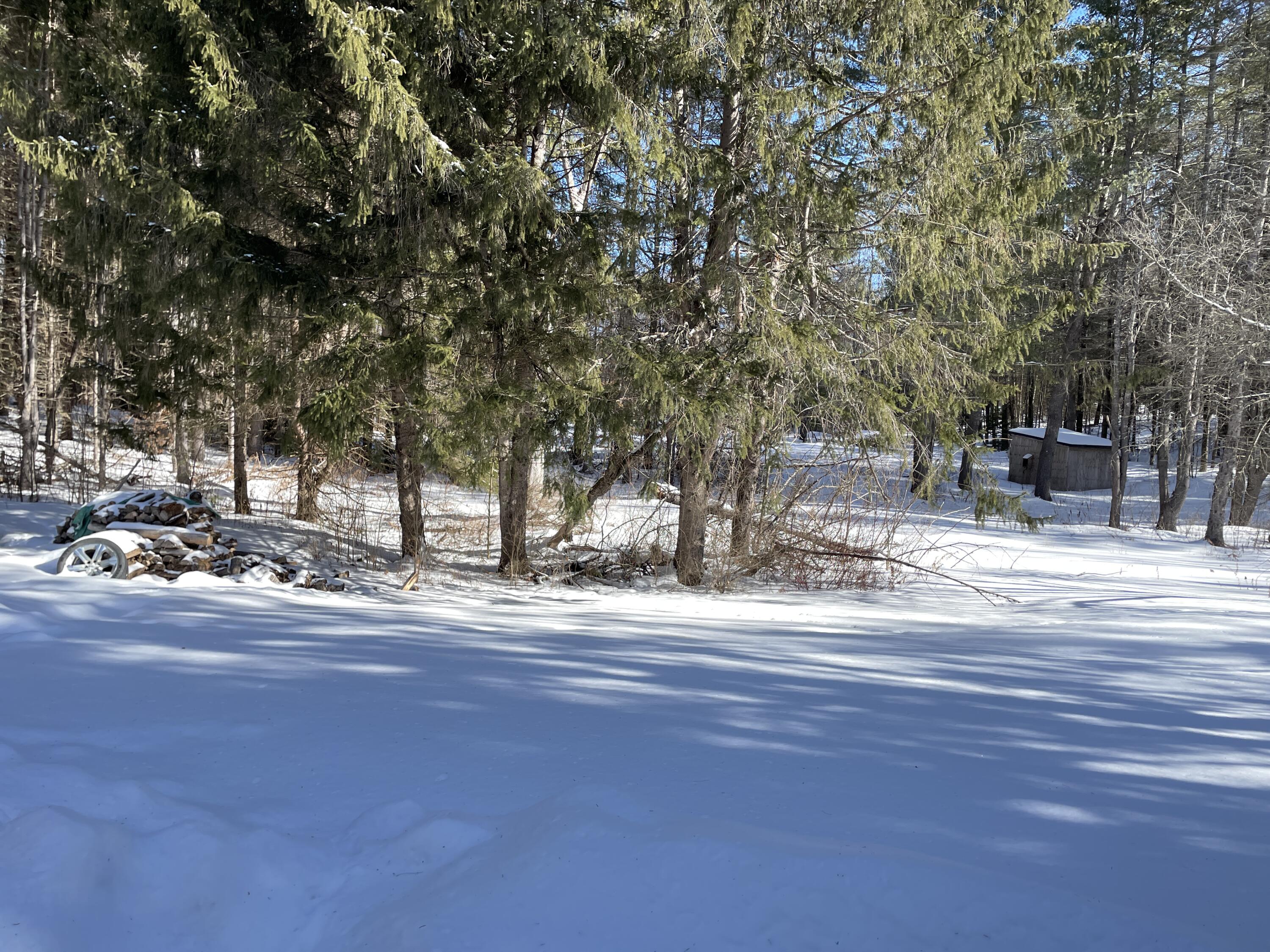 28 East Sangerville Road Sangerville, ME 04479 - Photo 21 of 32 IMG_4594