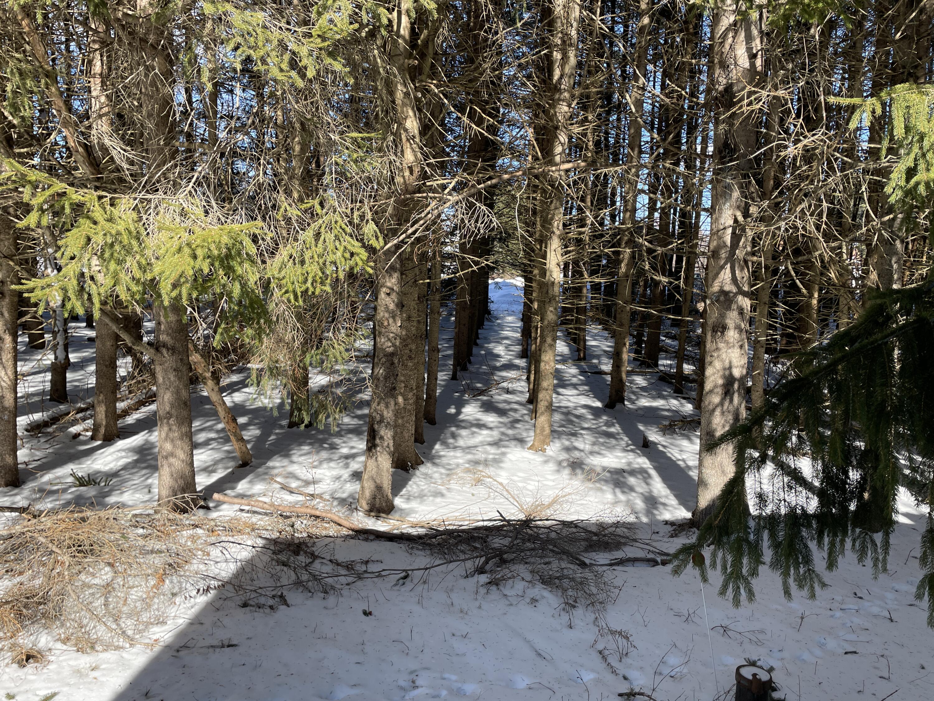 28 East Sangerville Road Sangerville, ME 04479 - Photo 24 of 32 IMG_4554