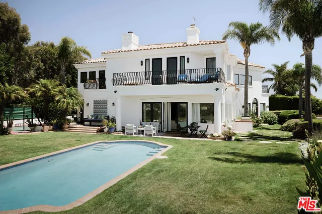 a view of a garden with a plant