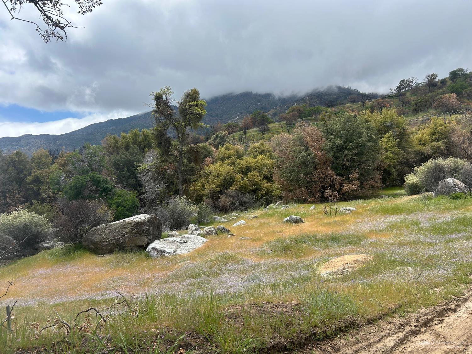 0 Foxtail Canyon Road Caliente, CA 93518 - Photo 6 of 21 Gallery Image 6