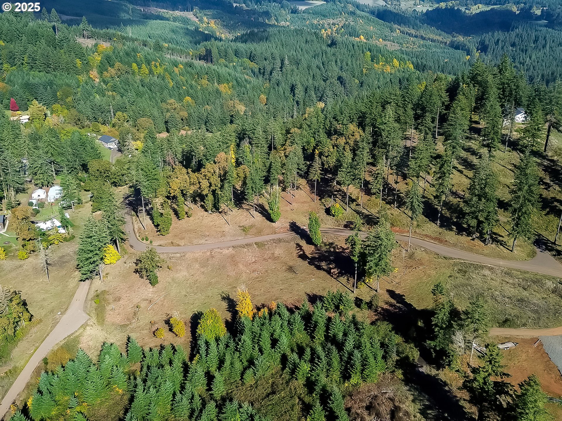 0 Northwest Orchard View Road, Unit 6 McMinnville, OR 97128 - Photo 7 of 7 a view of a forest with a tree